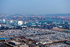 Vehicles Trade Export in Qingdao Port