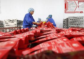 CHINA-HEBEI-ZUNHUA-AGRICULTURAL PRODUCTS-PROCESSING (CN)