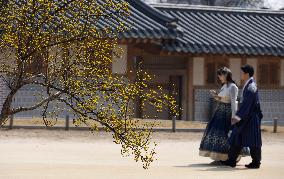 SOUTH KOREA-SEOUL-GYEONGBOKGUNG PALACE-SCENERY