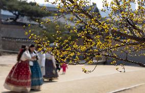 SOUTH KOREA-SEOUL-GYEONGBOKGUNG PALACE-SCENERY