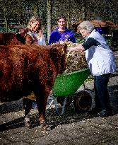 Princess Beatrix Working On A City Farm - Utrecht