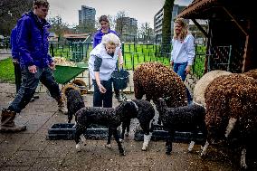 Princess Beatrix Working On A City Farm - Utrecht