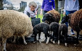 Princess Beatrix Working On A City Farm - Utrecht