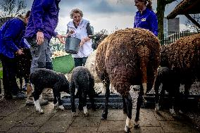 Princess Beatrix Working On A City Farm - Utrecht