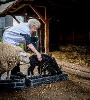 Princess Beatrix Working On A City Farm - Utrecht