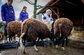 Princess Beatrix Working On A City Farm - Utrecht