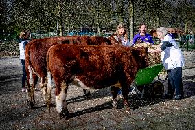 Princess Beatrix Working On A City Farm - Utrecht