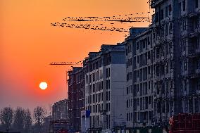 A Commercial Housing Complex Construction in Qingzhou