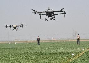 Drone Agriculture in Handan