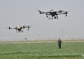 Drone Agriculture in Handan
