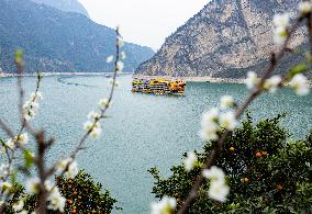 Cargo Ships Sail in the Yangtze River in Yichang