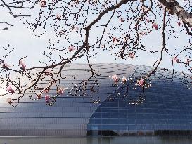 National Center for the Performing Arts in Beijing