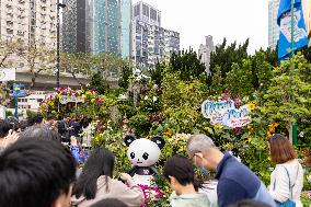 2024 Hong Kong Flower Show