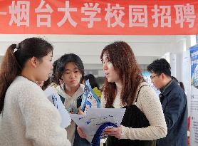Yantai University Job Fair