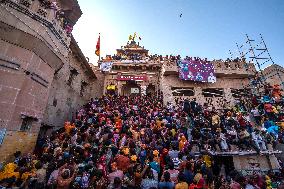 Laddu Holi Celebrated In Ladliji Temple