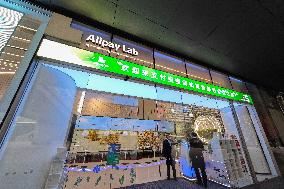 Alipay Lab