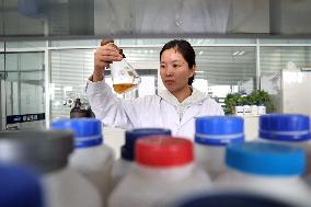 A Biological Fermentation Company in Binzhou