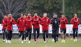 Football: Japan ahead of World Cup q'fier