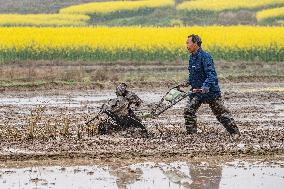 CHINA-AGRICULTURE-SPRING-FARMING (CN)