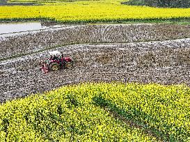 CHINA-AGRICULTURE-SPRING-FARMING (CN)