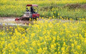 #CHINA-AGRICULTURE-SPRING-FARMING (CN)