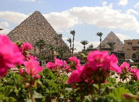 EGYPT-SPRING SCENERY