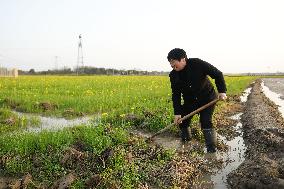 CHINA-HUNAN-AGRICULTURE-SPRING-FARMING (CN)