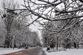Winter has returned to Vinnytsia