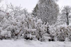 Winter has returned to Vinnytsia