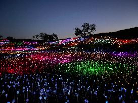Field Of Light In Paso Robles - California