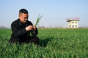 CHINA-ANHUI-BOZHOU-SMART FARM (CN)