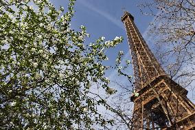 FRANCE-PARIS-SPRING