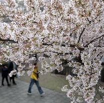 BRITAIN-LONDON-SPRING