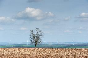 Wind Farm - France