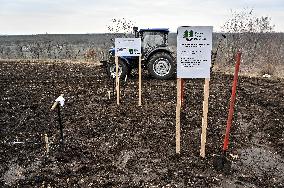 New young forest planted in Zaporizhzhia