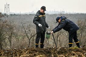 New young forest planted in Zaporizhzhia