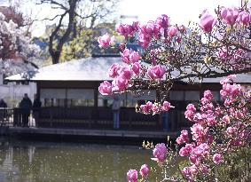 AUSTRIA-VIENNA-SPRING