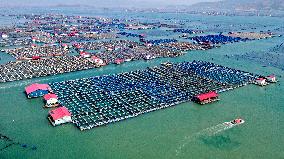 A Demonstration Zone for Fishery Raft Farming in Ningde
