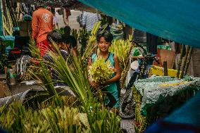 Palm Sunday Preparation In The Philippines