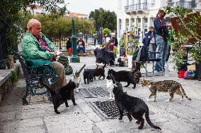 Daily Life In Athens, Greece