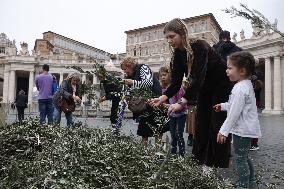Palm Sunday In Vatican