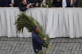 Palm Sunday In Vatican