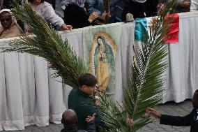 Palm Sunday In Vatican
