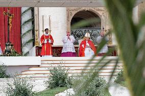 Pope Francis Presides The Palm Sunday Mass
