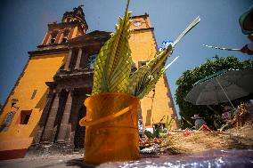 Sales Palms For Palm Sunday Celebration - Mexico