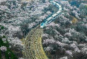 #CHINA-BEIJING-SPRING-TRAIN (CN)