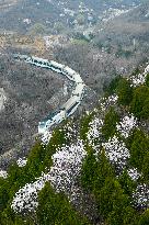 #CHINA-BEIJING-SPRING-TRAIN (CN)