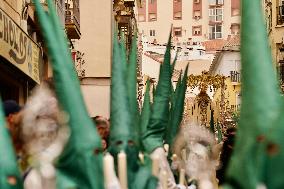 Palm Sunday Procession of La Pollinica of Malaga