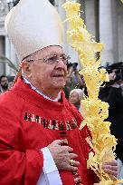 Pope Francis Celebrates the Palm Sunday Mass - Vatican