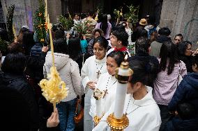 Palm Sunday In Barcelona.